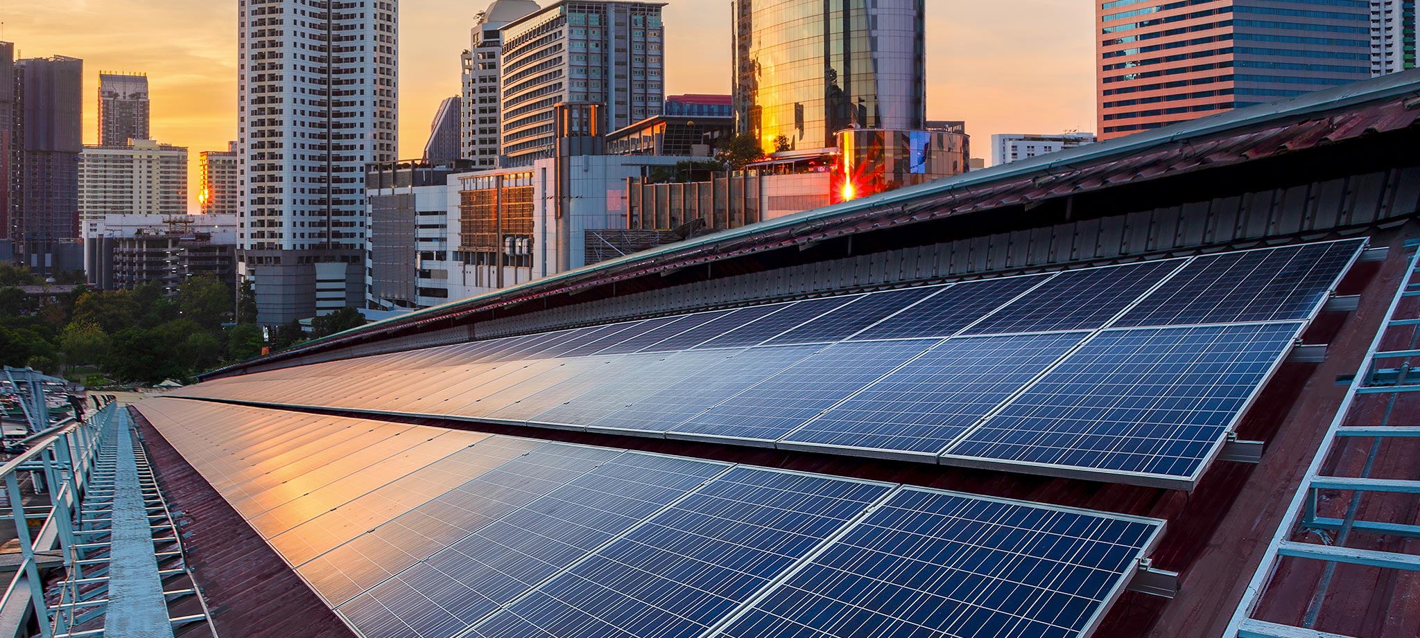 Net carbon zero consulting to help your business