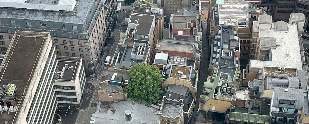 blue sky report solar mapping