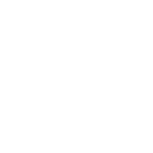 document icon